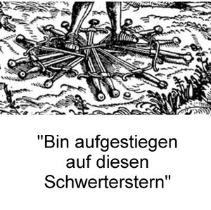 Maximilians Schwerterstern.jpg